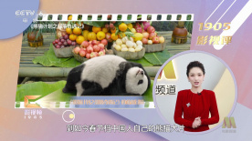 精子或福利在线